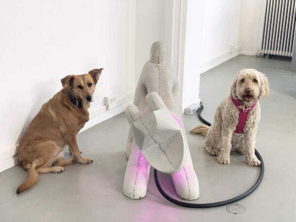 1b51be92-2c0d-4e54-b9fe-b094b0001d1c