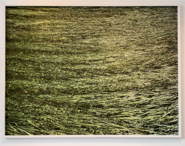 64736f88-8436-66c8-e410-4ff1b4e9bae3