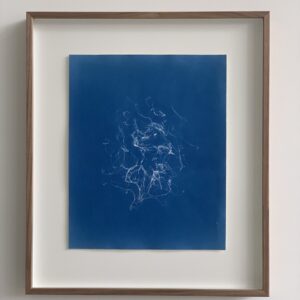 chaetomorpha linum (visdraad)