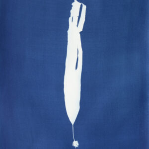 saccharine latissimi (suikerwier)