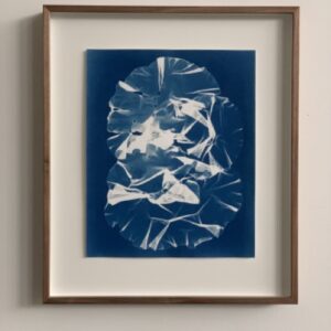 ulva sp. 02 (zeesla)