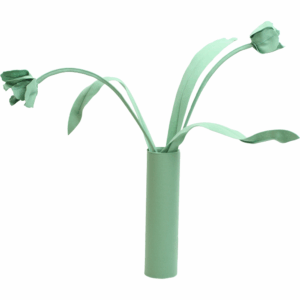 tulip felt plant