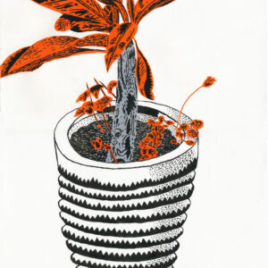 the barry white demon