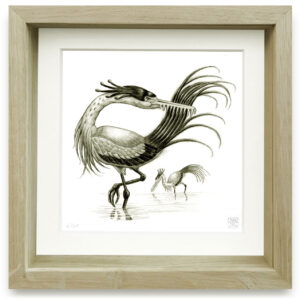 ardea rostrapectinata