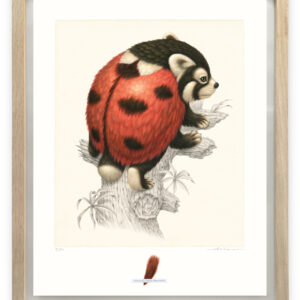 coccinellursus hexapedus