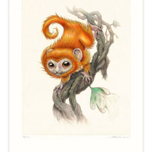 leontopithecus rosalia