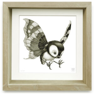 psychornis leucopsis