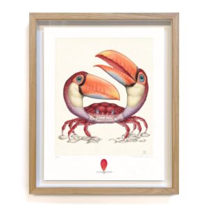 tucanogemina carcinforma