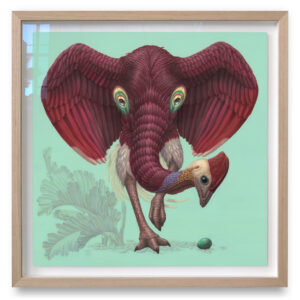 dromopterix elephoenicus