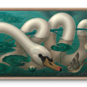 cygnophidianus spirocorpus