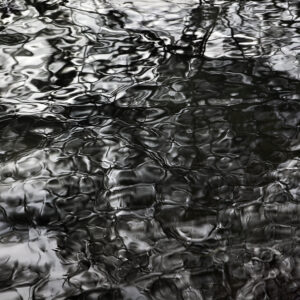 heraclitus. haringvliet.