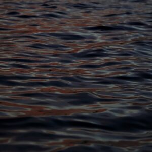 heraclitus. hollandsch diep