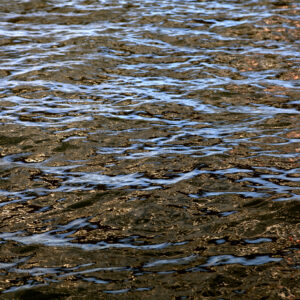 heraclitus. hollandsch diep