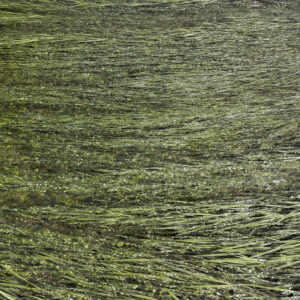 heraclitus. l'ormançon.