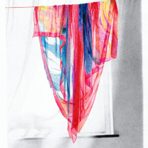 she comes in colors everywhere