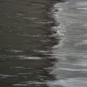 panta rhei, waddenzee.