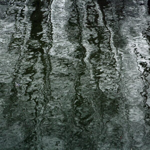 heraclitus. haringvliet.