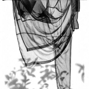 she’s scary but very beautiful… hanging like a bat with butterfly wings...