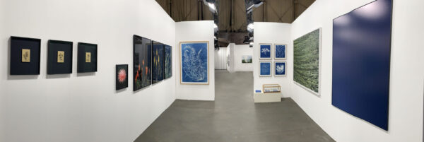 Gallery Untitled, Unseen 2022