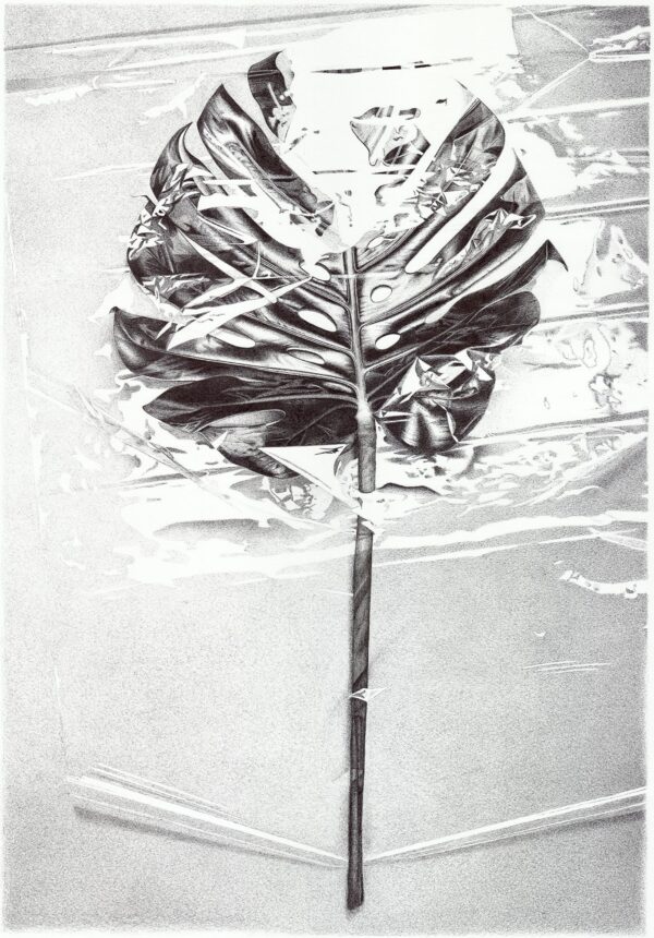 724def7e-0643-064e-3a12-1f2cd32fcc5f