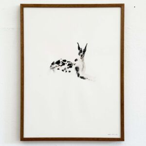 deense dog - hond 04