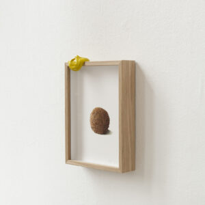 bitterbal met mosterd