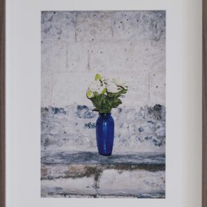 flowers for mary, roses