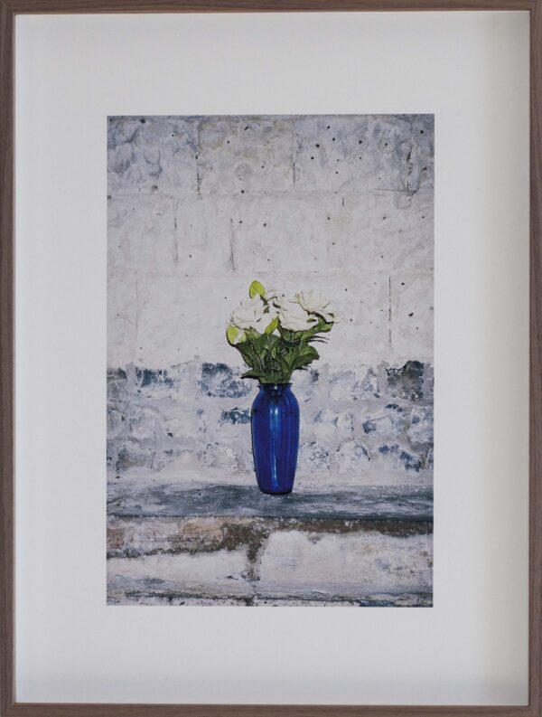 flowers for mary, roses