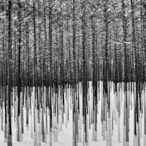 das wohltemperierte klavier