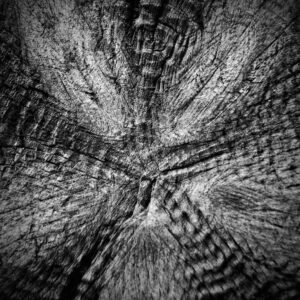 trough the kaleidoscope