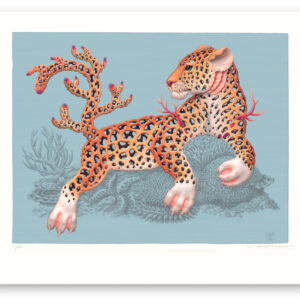 coralleopardus perforatus