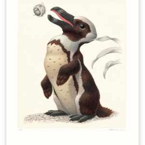 pinguilagus pseudopticus