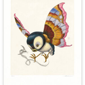 psychornis leucopsis