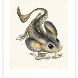 cyprinomusculus macrommatus