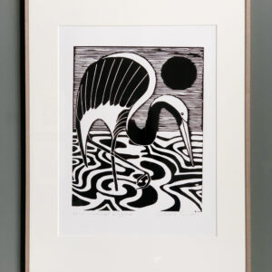 kraanvogel op laag water