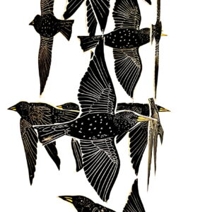 de dans van de spreeuw