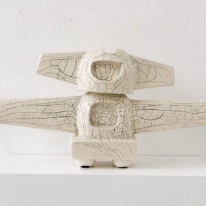 i am a little airplane