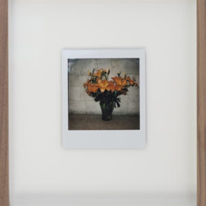 flowers for mary, polaroid v