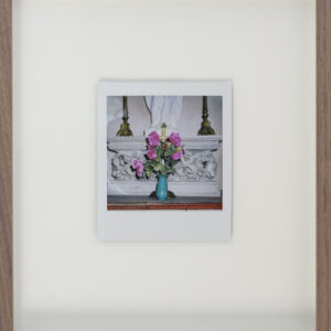 flowers for mary, polaroid I