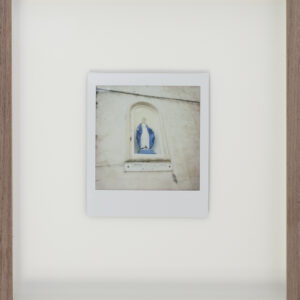 flowers for mary, polaroid II