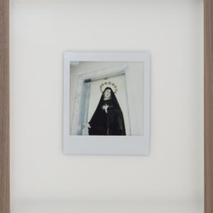 flowers for mary, polaroid IV