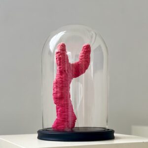 not even a chance II