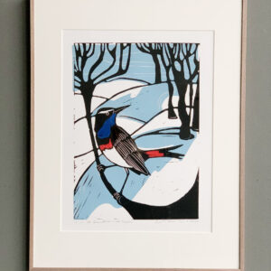 de blauwborst in de sneeuw