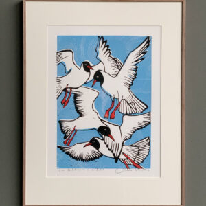 de kokmeeuwen in de lucht