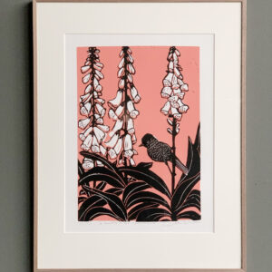 de zwartkop in het vingerhoedskruid