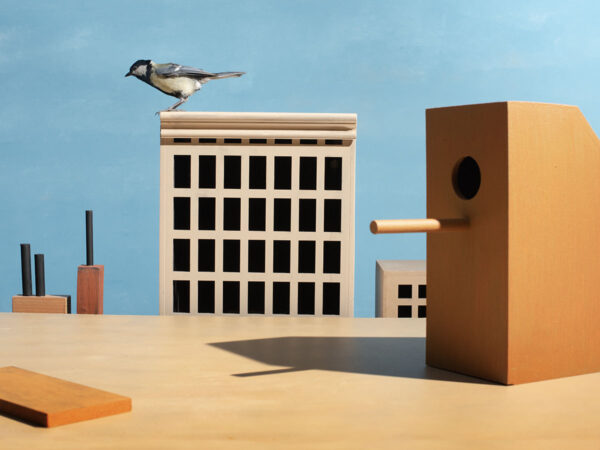 City-Roof-I-2023 (1)