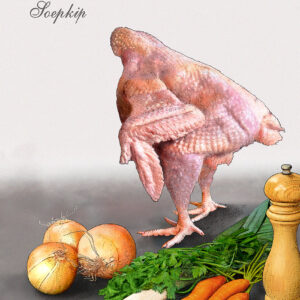 soepkip