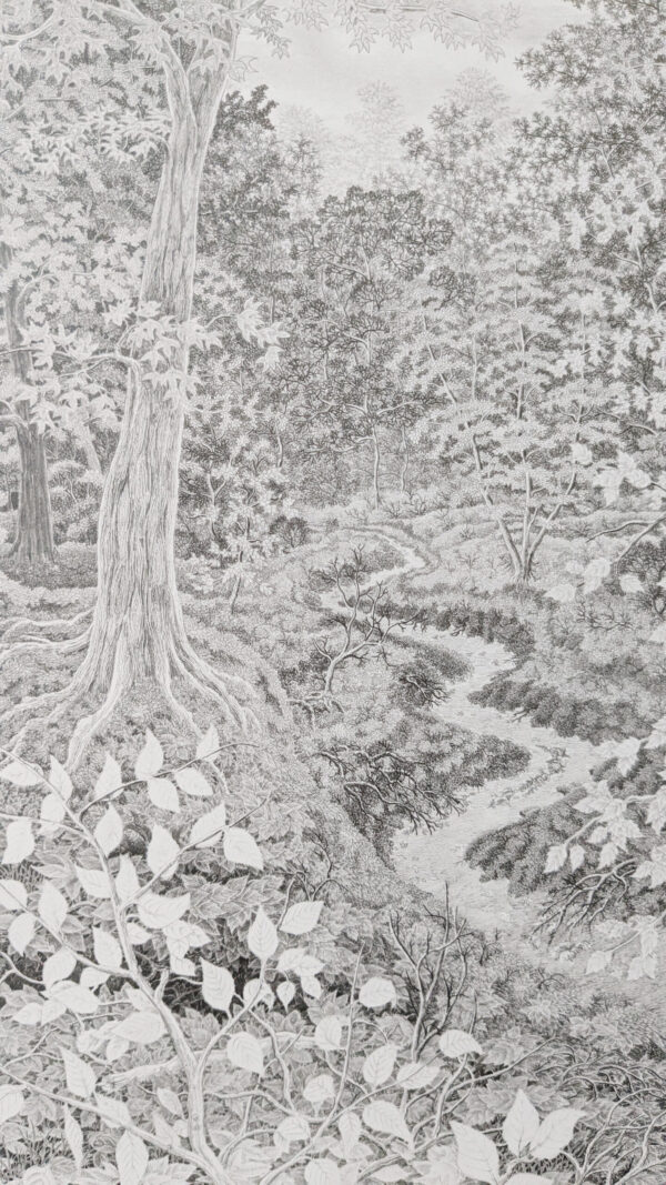 autumn in forest - Image 2