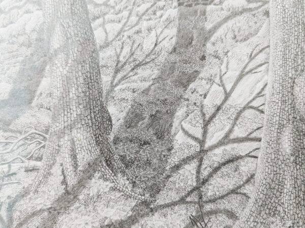 autumn in forest - Image 3