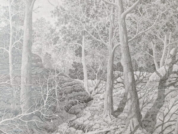 wintersun forest - Image 3